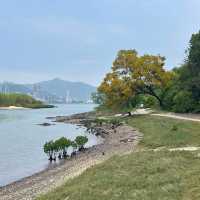 遊山玩水系列‼️‼️‼️粉嶺鹿頸遠望對岸👍🏻容易郊遊路線