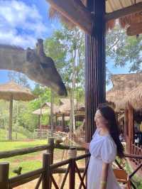 🦒푸꾸옥 가볼만한 곳 - 빈펄 사파리🦒