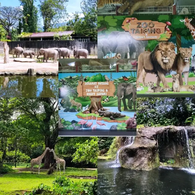 Taiping Zoo and Night Safari