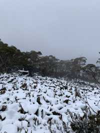 Trekking on snowy Mount Wellington