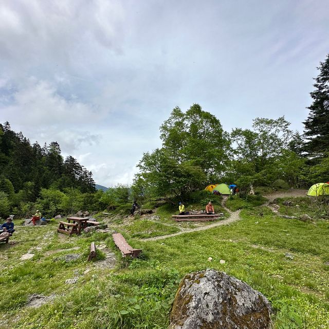 【山梨】伝説残る美しき池のテント場、白根小池小屋テント場
