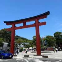 【 神奈川 / 鎌倉 】鎌倉文化の起点！鶴岡八幡宮⛩️