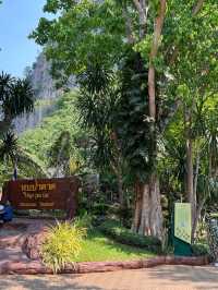 สถานที่ท่องเที่ยวแห่งใหม่ ป่าดึกดำบรรพ์