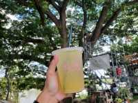 Lab Slow Bar | Ang Thong🌱