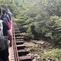 【鹿児島・屋久島】世界遺産の縄文杉に✨