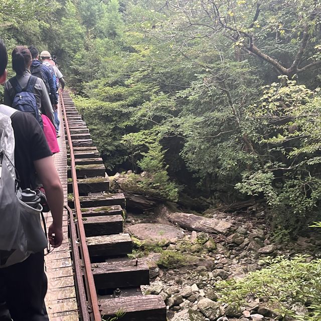 【鹿児島・屋久島】世界遺産の縄文杉に✨