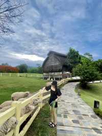 พรีโม เพียซซ่า Primo Piazza เขาใหญ่ 🌿