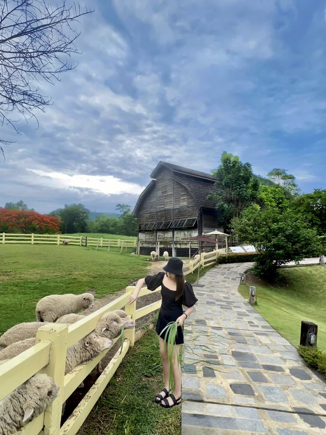พรีโม เพียซซ่า Primo Piazza เขาใหญ่ 🌿