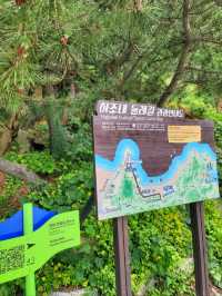 하조대 전망대! 양양 여행 필수코스라구요🛸