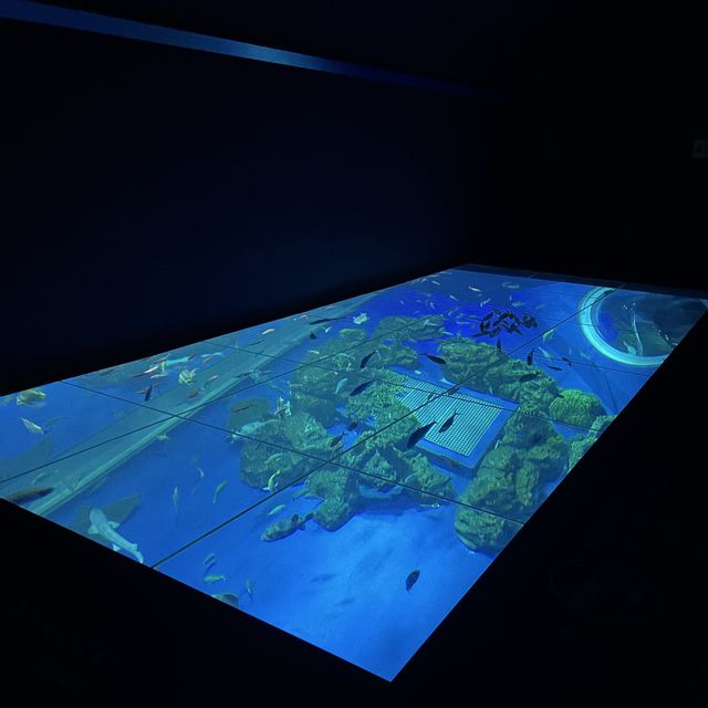 【沖縄】空間演出がすごい💕DMMかりゆし水族館