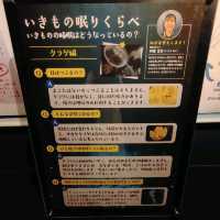 海の生き物ってどうやって眠るの？　夜の京都水族館