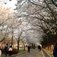 Hangang Riverside Park