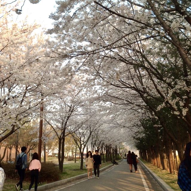Hangang Riverside Park