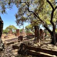 My summer trip to Ayutthaya, Thailand