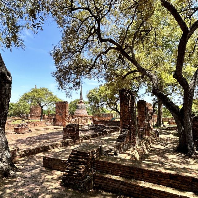 My summer trip to Ayutthaya, Thailand