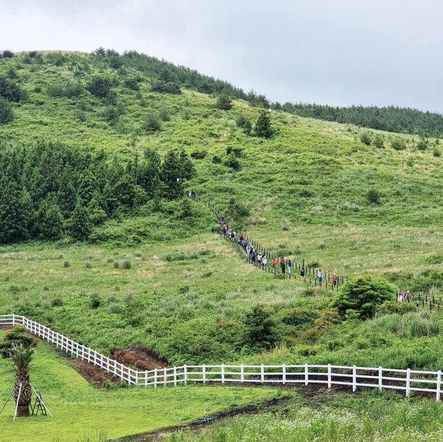 🌳 넓직한 풍경과 풍차 풍경이 보이는 백약이오름