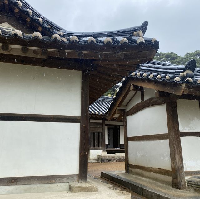비 오는 날의 오죽헌 산책
