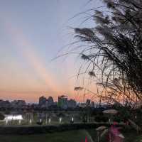 台中西屯 | 台中中央公園，市區內最美公園❤️