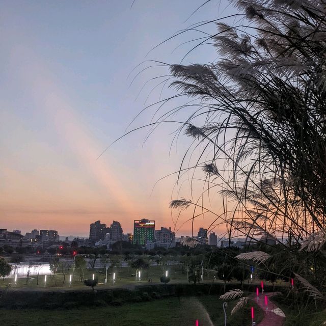 台中西屯 | 台中中央公園，市區內最美公園❤️