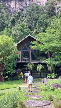 Into the forest จ.กระบี่
