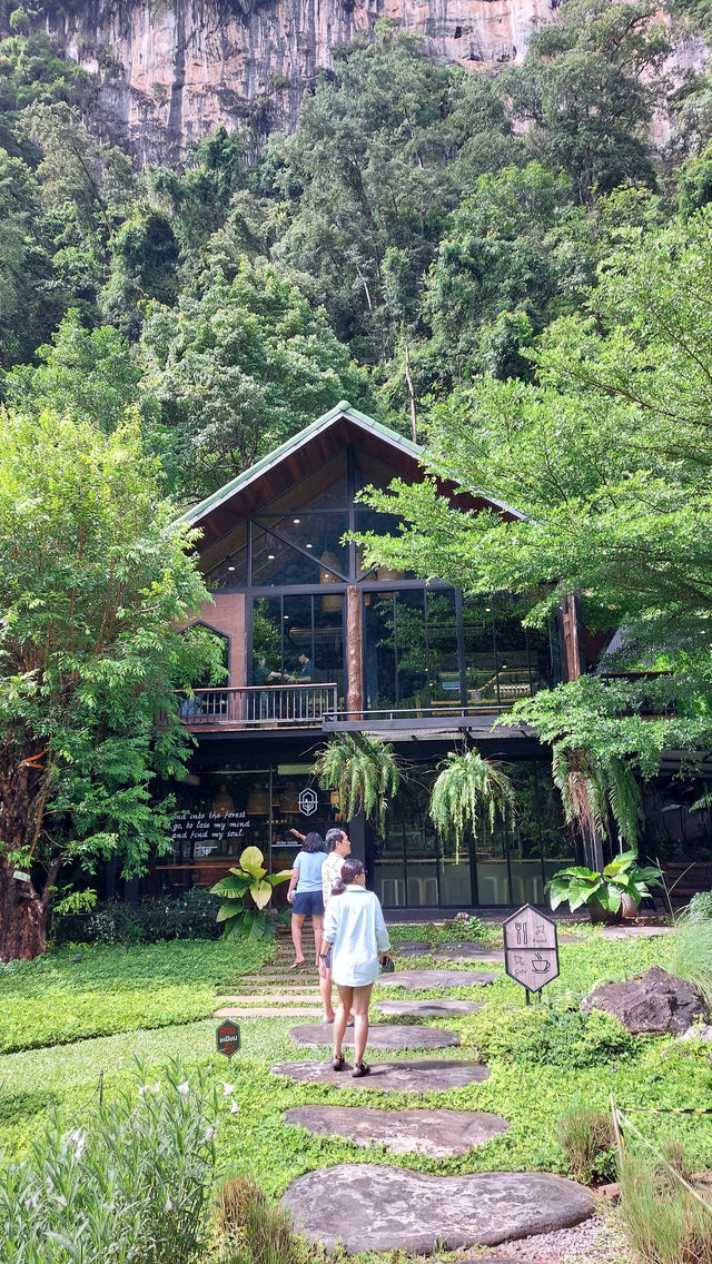 Into the forest จ.กระบี่