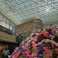 首爾浪漫🌹🌺🌷🪻唯美的「星空圖書館」🕋