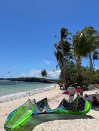 Leaning Coconut Tree