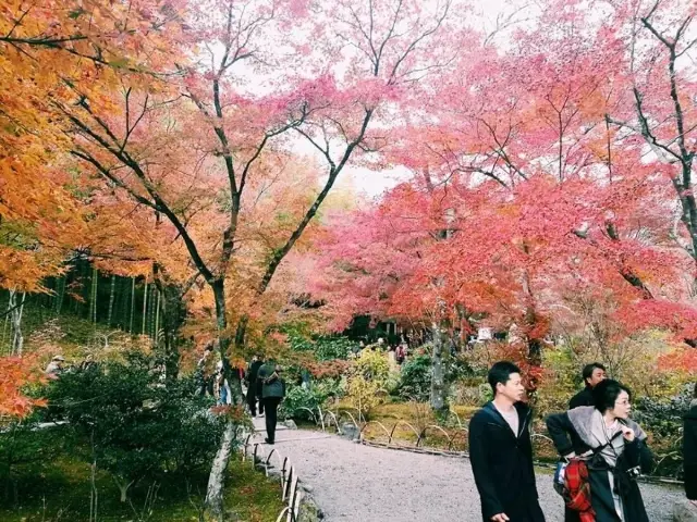 📍Tenryu Ji Temple