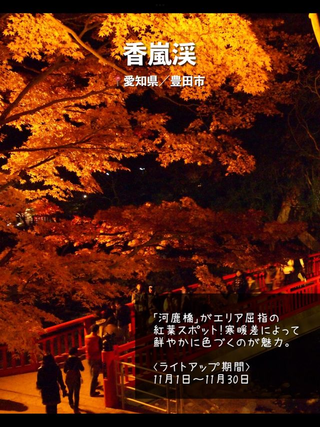 今年絶対に見逃したくない…！全国の紅葉ライトアップスポット7選🍁