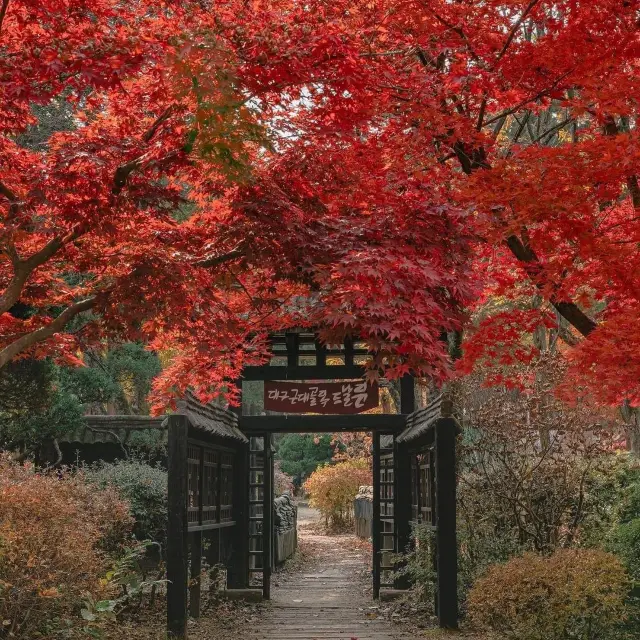 Beautiful Autumn View of Incheon Grand Park