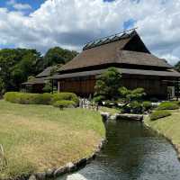 岡山後樂園🏖️禪意庭園中的大自然冥想 🌸🍃