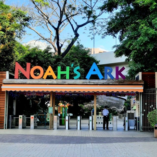 Care for Animals like Noah's did🦒