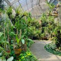 【インドネシア】壮大な植物園　“Kebun Raya Bogor”