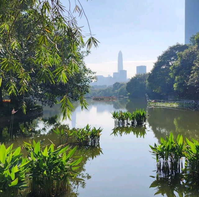 都市中的高登好去處