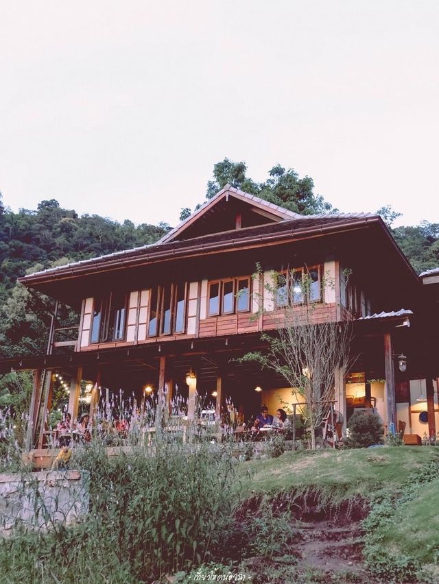 Mori Natural Farm โมริ เนเชอรัลฟาร์ม เชียงใหม่ 