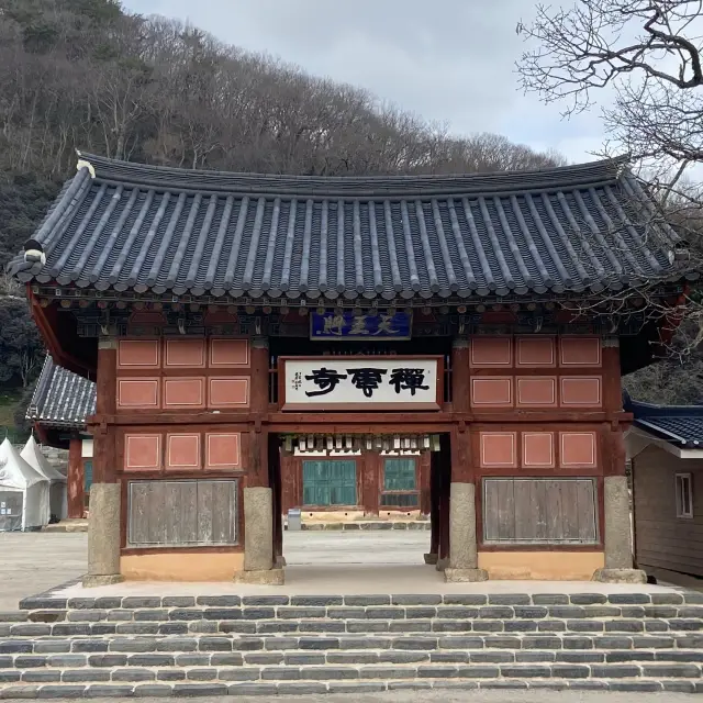 고창선운사에서 산보도 하고 맛난 풍천장어도 먹고