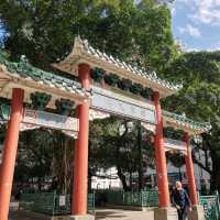 九龍市中心的綠洲