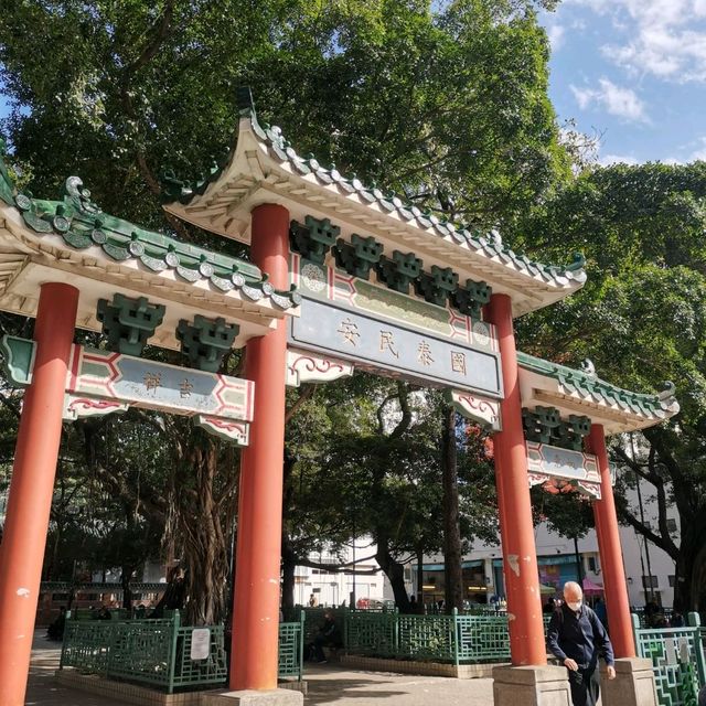 九龍市中心的綠洲