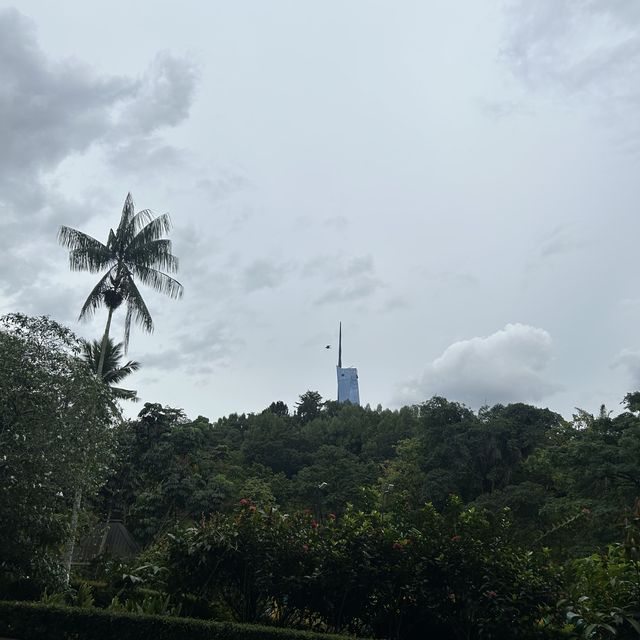 週末好去處