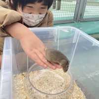 ふれあい広場〜野毛山動物園〜