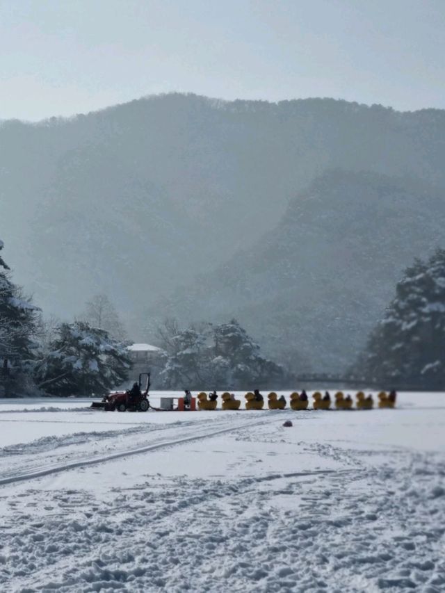 눈덮인 산정랜드와 얼음기차를 한번에!