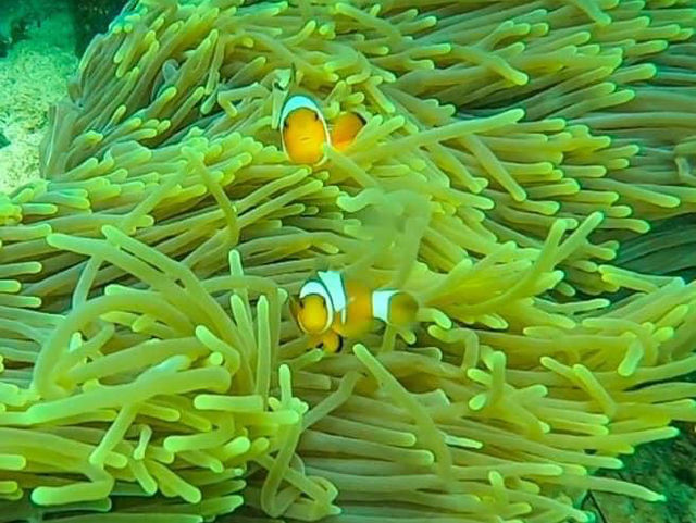 เกาะพีพี อีกหนึ่งเก่ะสุดฮอตของทะเลใต้