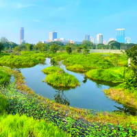 🏞️ปอดกลางกรุง
