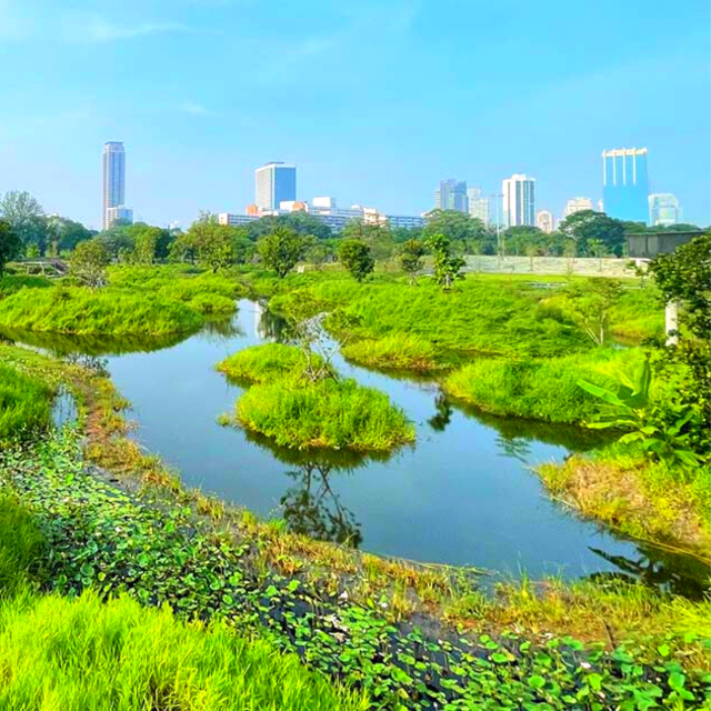 🏞️ปอดกลางกรุง