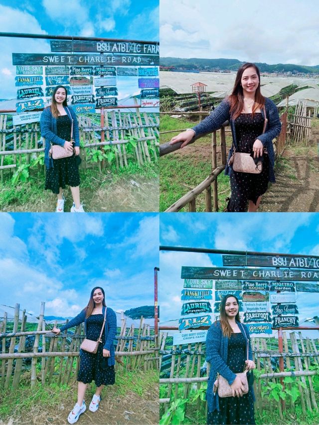 Starwberry Farm