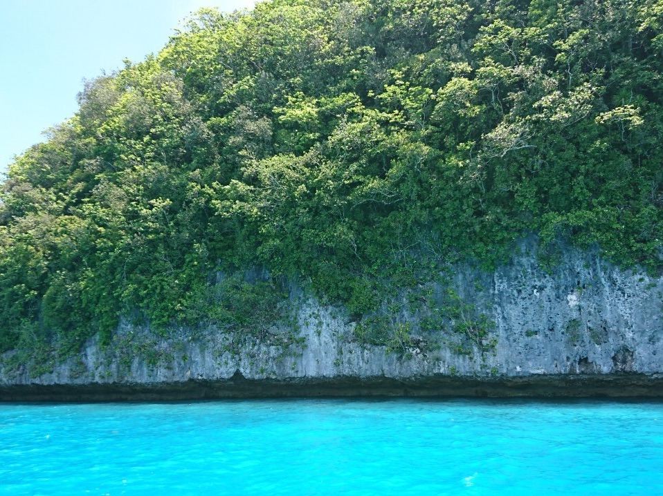 時差なしの楽園】パラオ🇵🇼 | Trip.com パラオ