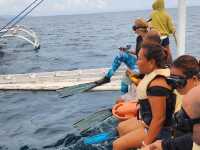 Whale sharks🐋 adventure 