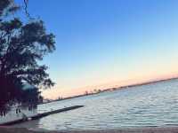 ArvoWalk!😉😜Matilda Bay & St GeorgeCollege😎