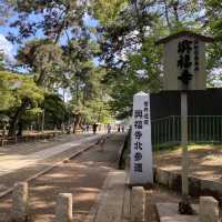 名勝「奈良公園」観光客で賑わい鹿は元気でした