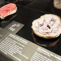 Body Worlds - Amsterdam, Netherlands